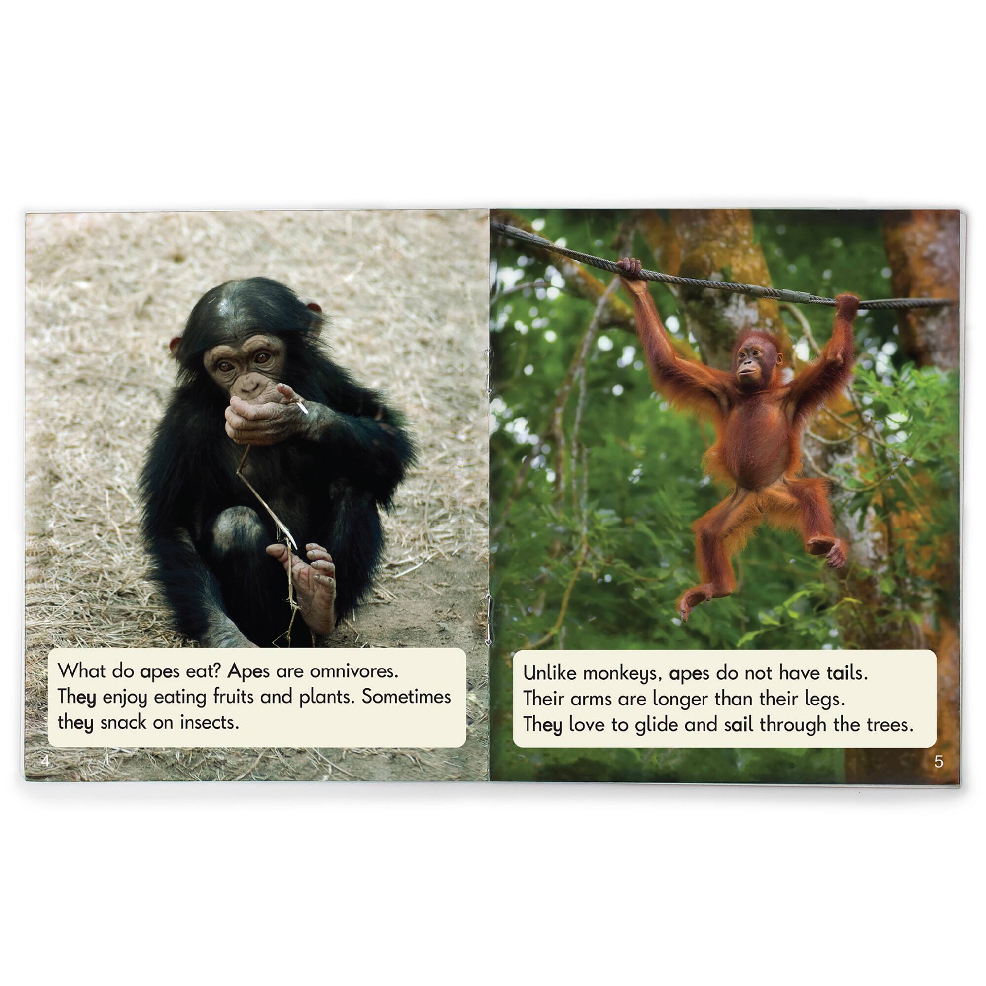 Junior Learning® Decodable Readers Sound Families Long Vowels Non-Fiction Phase 5.5
